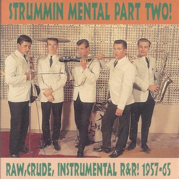 VARIOUS ARTISTS "Strummin' Mental Vol. 2" CD