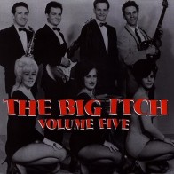 VARIOUS ARTISTS "Big Itch Volume 5" LP