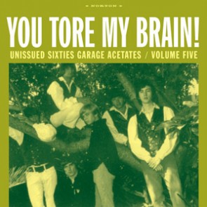 VARIOUS ARTISTS 'You Tore My Brain! Unissued Sixties Garage Acetates V 5' LP