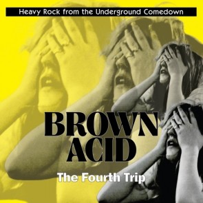 VARIOUS ARTISTS "Brown Acid: The Fourth Trip"