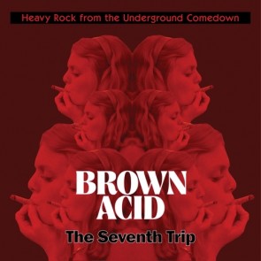 VARIOUS ARTISTS "Brown Acid: The Seventh Trip" LP