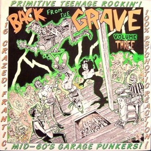 VARIOUS ARTISTS "Back from the Grave Vol. 3" LP (Gatefold)