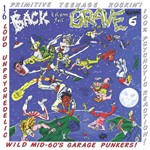 VARIOUS ARTISTS "Back from the Grave Vol. 6" (Gatefold) LP