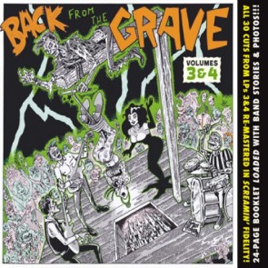 VARIOUS ARTISTS "Back from the Grave Volumes 3 & 4" CD