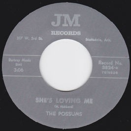 THE POSSUMS "She's Loving Me/ King Of His World" 7"