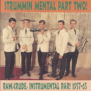 VARIOUS ARTISTS "Strummin' Mental Vol. 2" CD