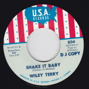 WILEY TERRY/ MISS ANN LITTLES "Shake It Baby / I Will Be Got Dog" 7"