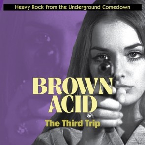 VARIOUS ARTISTS "Brown Acid: The Third Trip"