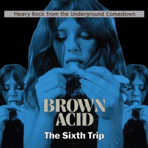 VARIOUS ARTISTS "Brown Acid: The Sixth Trip" (RED vinyl) LP