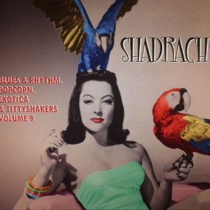 SPOONFUL EXOTIC BLUES & RHYTHM "Volume 9: Shadrach" 10"